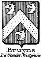 Bruyninx Coat of Arms / Family Crest 2