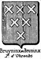 Bruyninx Coat of Arms / Family Crest 0
