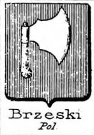 Brzeski Coat of Arms / Family Crest 2