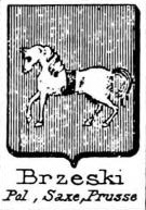 Brzeski Coat of Arms / Family Crest 1