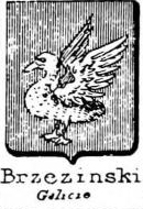 Brzezinski Coat of Arms / Family Crest 0