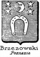 Brzezowski Coat of Arms / Family Crest 1