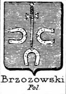 Brzozowski Coat of Arms / Family Crest 0