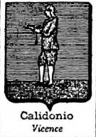 Calidonio Coat of Arms / Family Crest 0