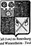 Call Coat of Arms / Family Crest 6