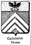 Calosina Coat of Arms / Family Crest 0
