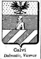 Calvi Coat of Arms / Family Crest 10