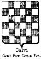 Calvi Coat of Arms / Family Crest 8