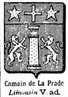 Camain Coat of Arms / Family Crest 0