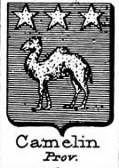 Camelin Coat of Arms / Family Crest 0