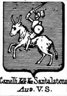 Camelli Coat of Arms / Family Crest 0