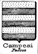 Campesi Coat of Arms / Family Crest 0
