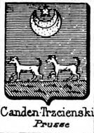 Canden Coat of Arms / Family Crest 0
