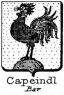 Capeindl Coat of Arms / Family Crest 1