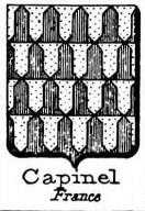 Capinel Coat of Arms / Family Crest 0