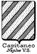Capitaneo Coat of Arms / Family Crest 1