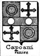Capoani Coat of Arms / Family Crest 0