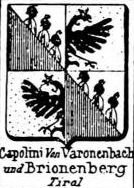 Capolini Coat of Arms / Family Crest 0