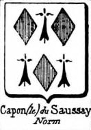 Capon Coat of Arms / Family Crest 1