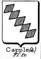 Capple Coat of Arms / Family Crest 0