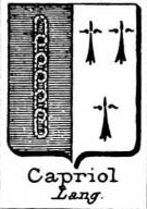 Capriol Coat of Arms / Family Crest 0