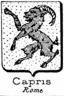 Capris Coat of Arms / Family Crest 2