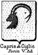Capris Coat of Arms / Family Crest 1