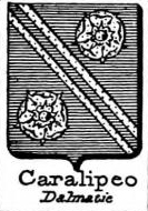 Caralipeo Coat of Arms / Family Crest 0