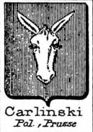 Carlinski Coat of Arms / Family Crest 0
