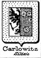 Carlowitz Coat of Arms / Family Crest 2