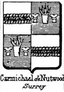 Carmichael Coat of Arms / Family Crest 10