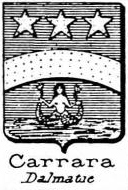 Carrara Coat of Arms / Family Crest 5