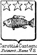 Carutti Coat of Arms / Family Crest 1