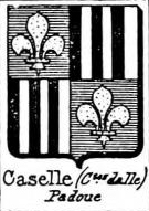 Caselle Coat of Arms / Family Crest 0
