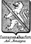 Cassagnes Coat of Arms / Family Crest 0