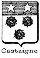 Castaigne Coat of Arms / Family Crest 0