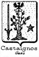 Castaignos Coat of Arms / Family Crest 0