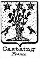 Castaing Coat of Arms / Family Crest 1