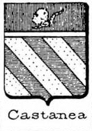 Castanea Coat of Arms / Family Crest 0