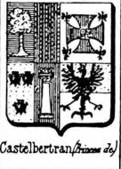 Castelbertran Coat of Arms / Family Crest 0