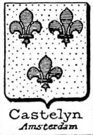 Castelyn Coat of Arms / Family Crest 3