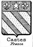 Castes Coat of Arms / Family Crest 0