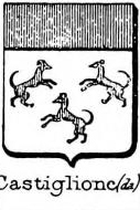 Castiglione Coat of Arms / Family Crest 6
