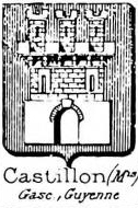 Castillon Coat of Arms / Family Crest 5
