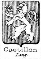 Castillon Coat of Arms / Family Crest 6