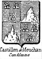Castillon Coat of Arms / Family Crest 8