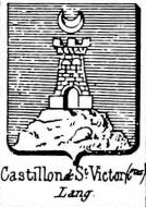Castillon Coat of Arms / Family Crest 9
