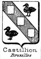 Castillon Coat of Arms / Family Crest 3