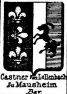 Castner Coat of Arms / Family Crest 1