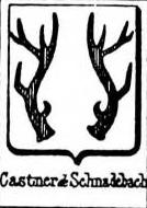 Castner Coat of Arms / Family Crest 2